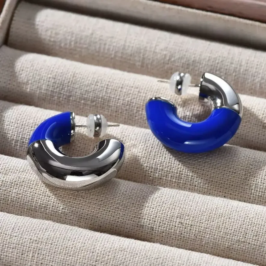 Fashion Europe Metal Blue 925 Silver Needle C-shaped Earring Women High Quality Jewelry Trend
Fashion Europe Metal Blue 925 Silver Needle C-shaped Earring Women High Quality Jewelry Trend