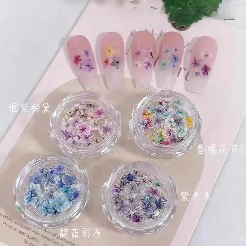 New Nail Art Dried Flowers Instagram-Style Japanese Baby's Breath Tiny Floral Gold Foil Flakes Gradient Dried Flower Nail Decor
New Nail Art Dried Flowers Instagram-Style Japanese Baby's Breath Tiny Floral Gold Foil Flakes Gradient Dried Flower Nail Decor