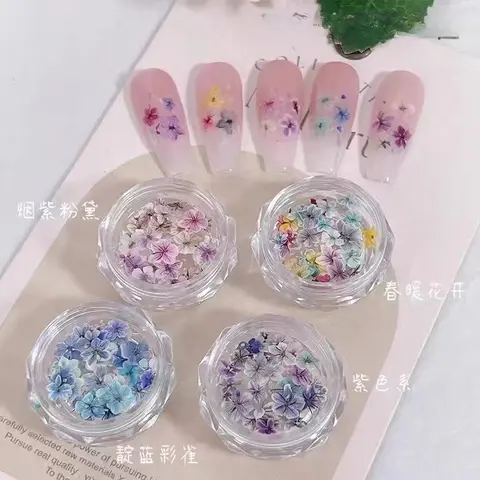Nova arte do prego flores secas instagram-estilo japonês respiração do bebê minúsculo floral folha de ouro flocos gradiente flor seca decoração do prego