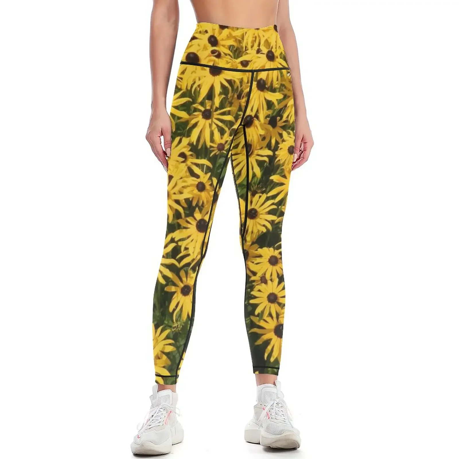 Rudbeckia hirta, black-eyed Susan Leggings joggers for for girls trousers Women's tights Womens Leggings
Rudbeckia hirta, black-eyed Susan Leggings joggers for for girls trousers Women's tights Womens Leggings