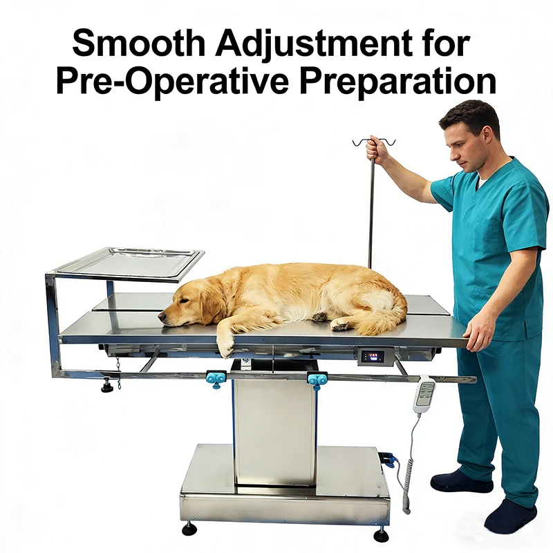 Professional Multi-function Electric Veterinary Operating Table Adjustable Height Table with IV Pole for Animal Clinic
Professional Multi-function Electric Veterinary Operating Table Adjustable Height Table with IV Pole for Animal Clinic