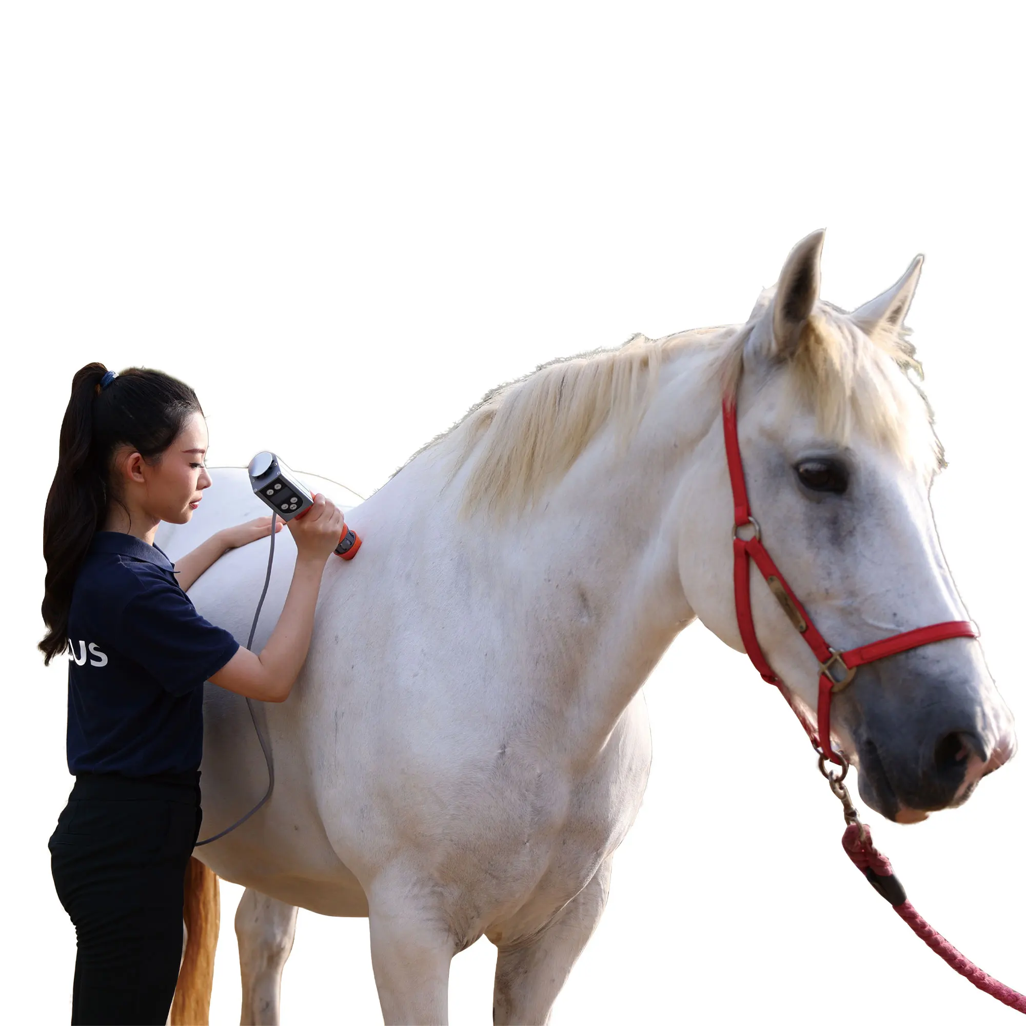 Professional Equine Therapy ESWT Device Quick Pain Relief For Horses Pets Animals Focused Shock Wave Therapy Body Application
Professional Equine Therapy ESWT Device Quick Pain Relief For Horses Pets Animals Focused Shock Wave Therapy Body Application