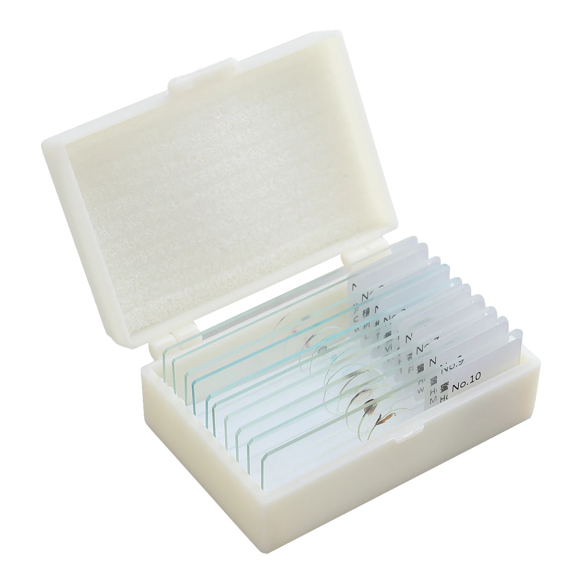 10 pcs Biology Prepared Slides Microscope Specimens Glass Material Safe Educational Kids Interest Insect Study Biological Use
10 pcs Biology Prepared Slides Microscope Specimens Glass Material Safe Educational Kids Interest Insect Study Biological Use
