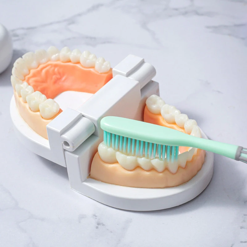 1pcs Super Long Toothbrush Soft Fur Large Brush Head Adult Toothbrush Manual Toothbrush Firm Toothbrush
1pcs Super Long Toothbrush Soft Fur Large Brush Head Adult Toothbrush Manual Toothbrush Firm Toothbrush