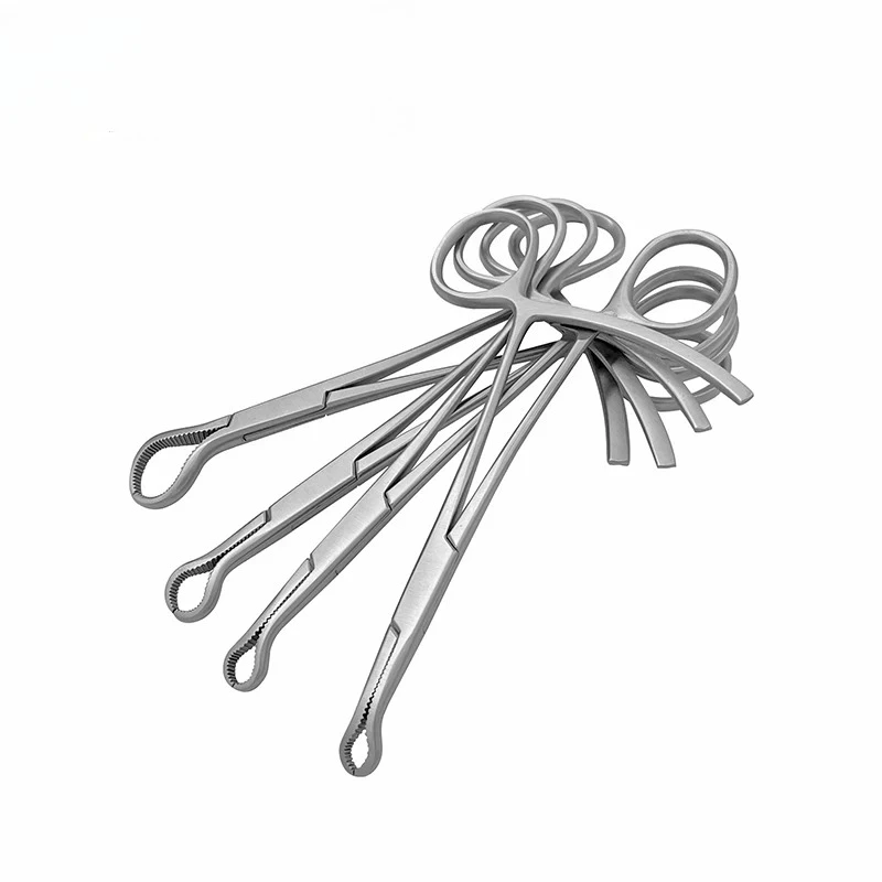 Mini Serrated Bone Holding Forceps Pointed Reduction Forceps Ao Style Veterinary Instruments
Mini Serrated Bone Holding Forceps Pointed Reduction Forceps Ao Style Veterinary Instruments