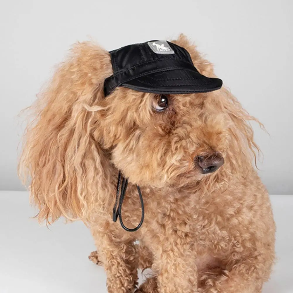 4 Sizes Cozy Outdoor Sports Pet Sunhat Dog Visor Cap Cloth Dog Sunhat Washable Pet Supplies
4 Sizes Cozy Outdoor Sports Pet Sunhat Dog Visor Cap Cloth Dog Sunhat Washable Pet Supplies