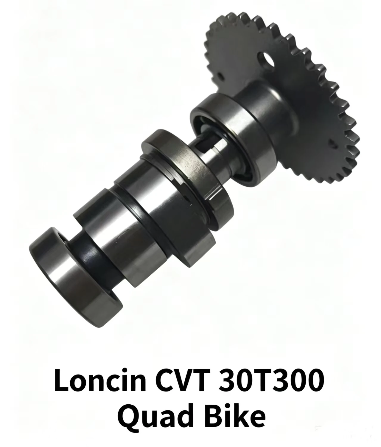 Engine Camshaft Fits Loncin CVT300 Quad Bike
Engine Camshaft Fits Loncin CVT300 Quad Bike