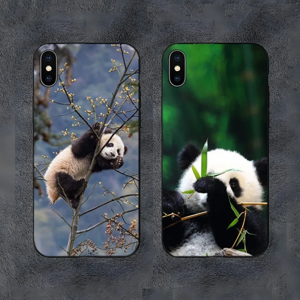 Cute Panda Phone Case For Samsung S24,S21,S22,S23,S30,Ultra,S20,S30,Plus,S21 Fe,10,9,5G Silicone Cover
Cute Panda Phone Case For Samsung S24,S21,S22,S23,S30,Ultra,S20,S30,Plus,S21 Fe,10,9,5G Silicone Cover