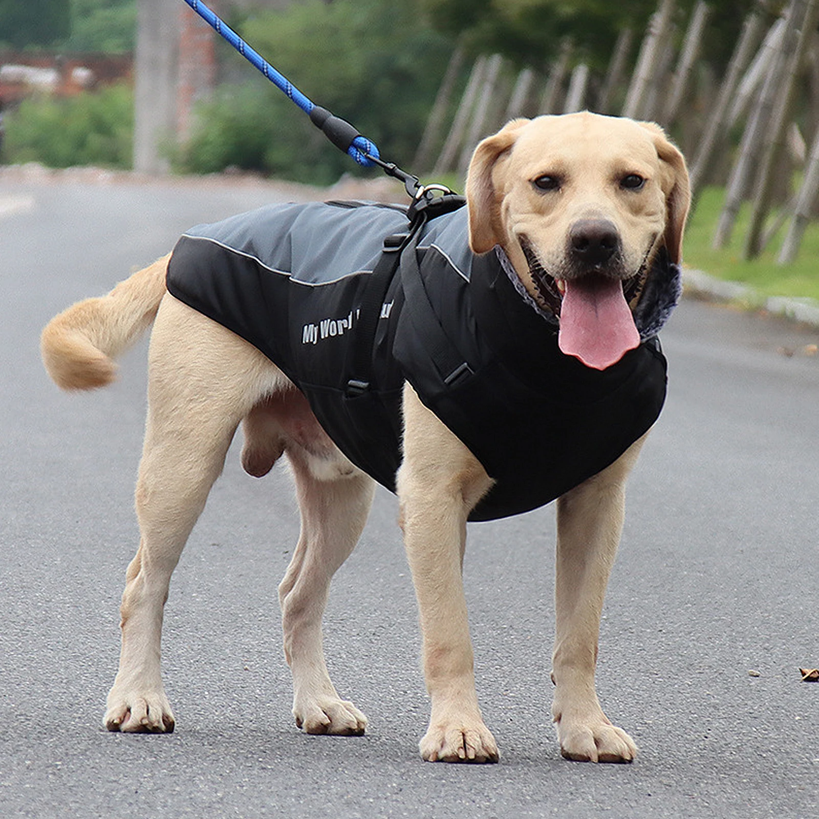 Dog Warm Clothes Pet Jacket Small Medium Dogs Winter Coat Silk Floss Vest Snowsuit Durable Stylish Lovely Puppies Pet Costume
Dog Warm Clothes Pet Jacket Small Medium Dogs Winter Coat Silk Floss Vest Snowsuit Durable Stylish Lovely Puppies Pet Costume