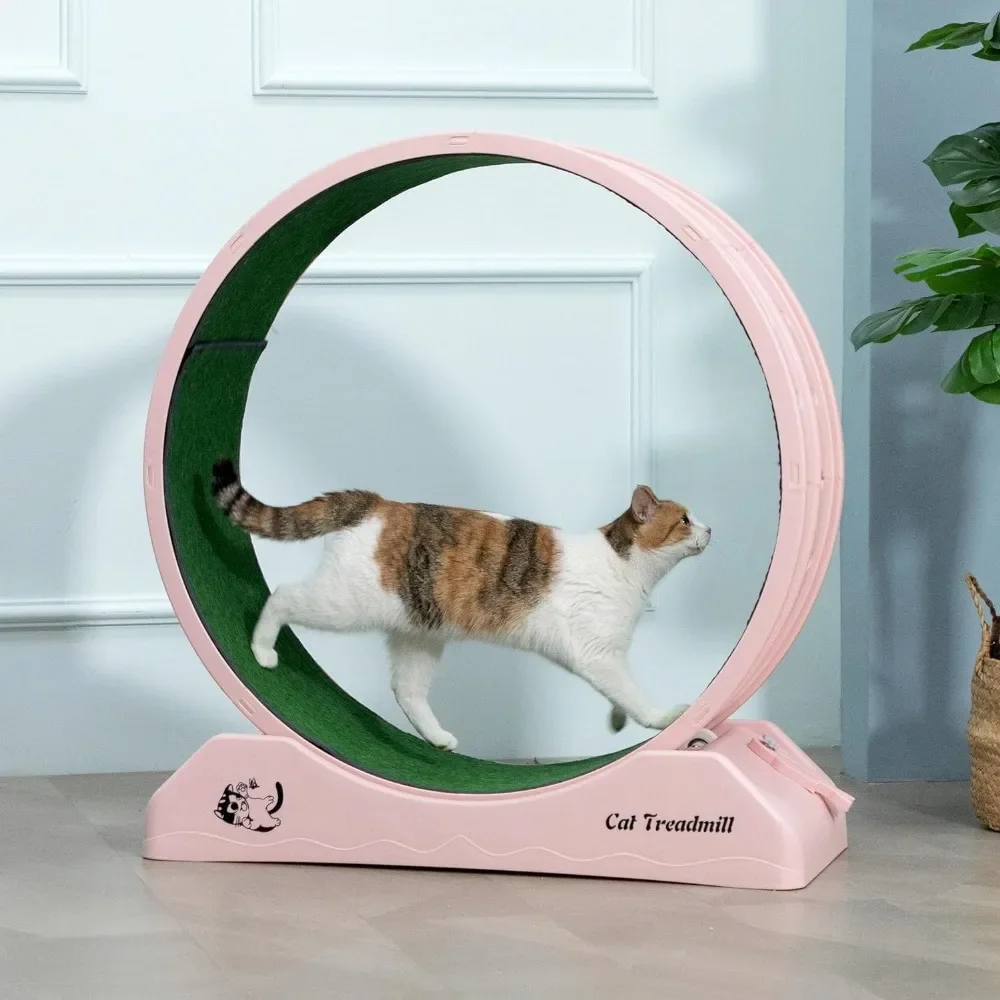 Cat Exercise Wheel, Cat Wheels for Indoor Cats, Cats Treadmill for Health & Fitness,Cats Running Exercise Wheel for Cat Exercise 
Cat Exercise Wheel, Cat Wheels for Indoor Cats, Cats Treadmill for Health & Fitness,Cats Running Exercise Wheel for Cat Exercise