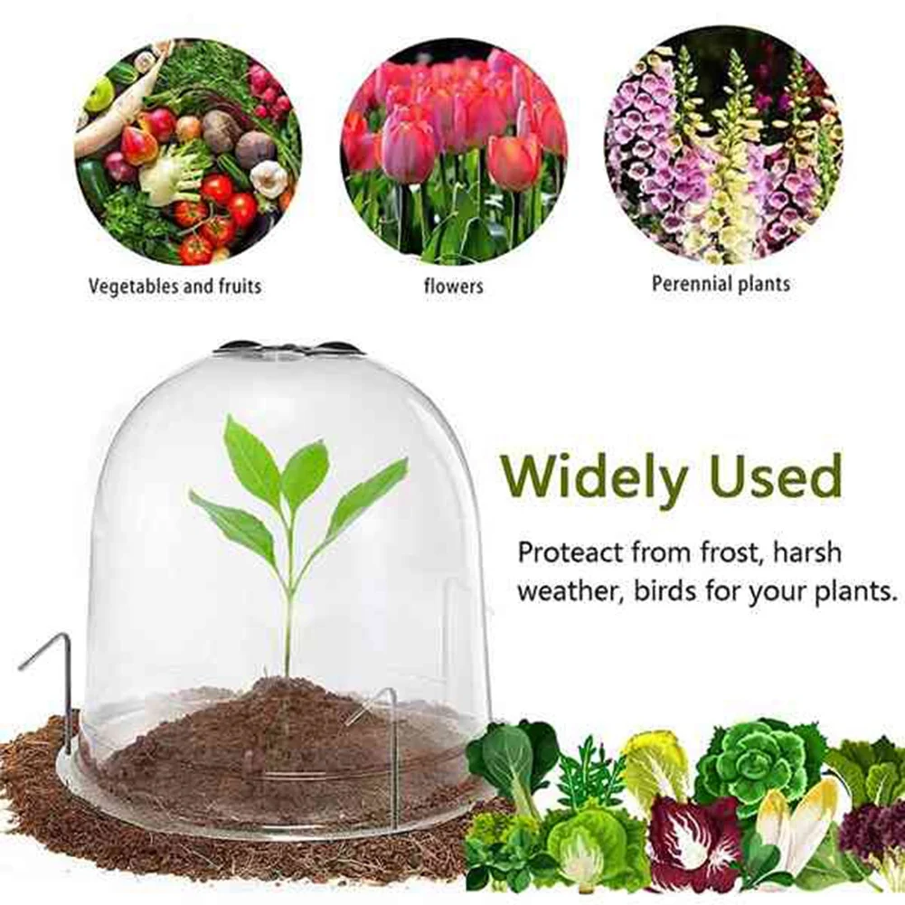 ABKL-34Pcs/Set Plant Protect Cover Plastic Mini Greenhouse Anti Freeze Plant Covers For Flowers Accessories Clear 26 X 21Cm
ABKL-34Pcs/Set Plant Protect Cover Plastic Mini Greenhouse Anti Freeze Plant Covers For Flowers Accessories Clear 26 X 21Cm