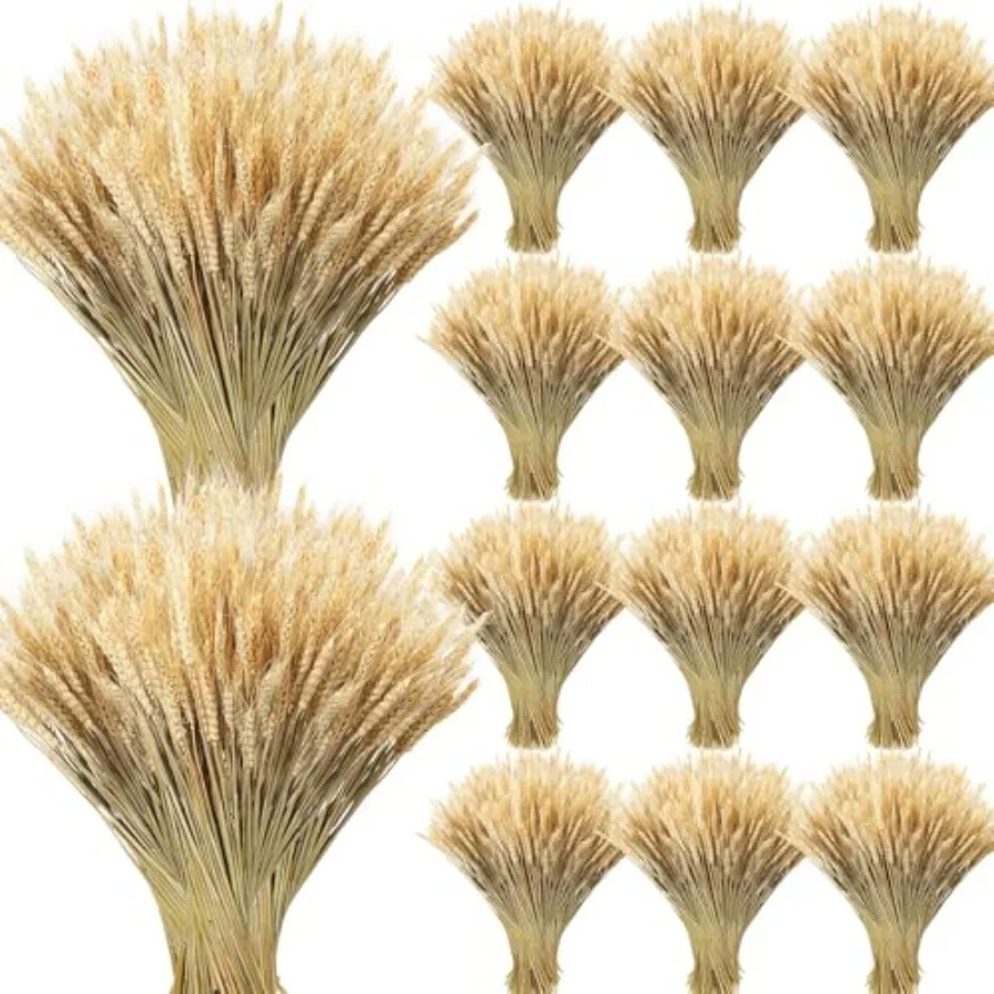 1 Stems Dried Wheat Stalks for Decor Natural Wheat Grass Sheaves Bundle Farmhouse Artificial Flowers Arrangement for DIY Weddin
1 Stems Dried Wheat Stalks for Decor Natural Wheat Grass Sheaves Bundle Farmhouse Artificial Flowers Arrangement for DIY Weddin