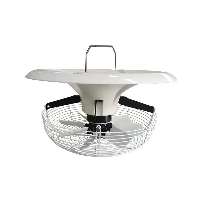 V-fan High Power Ceiling Fan In Greenhouses Commercial Planting Ventilation Equipment
V-fan High Power Ceiling Fan In Greenhouses Commercial Planting Ventilation Equipment