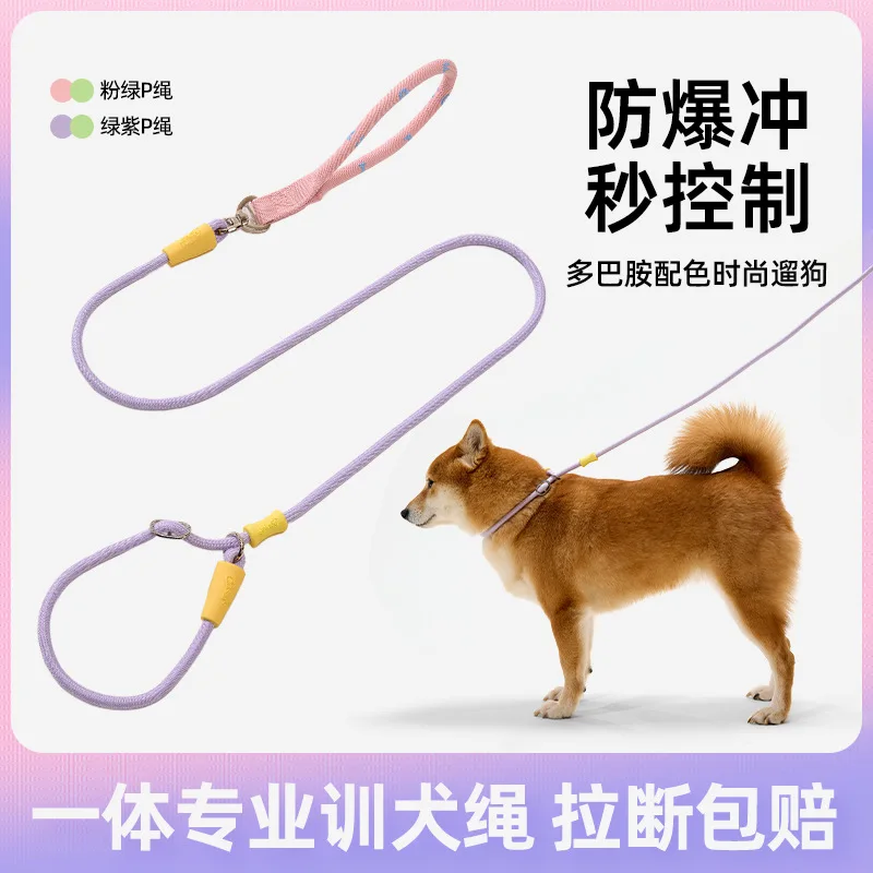 Dog traction rope Explosion-proof small P rope Anti-break-free adjustment Large dog special pet chain Go out to walk the dog
Dog traction rope Explosion-proof small P rope Anti-break-free adjustment Large dog special pet chain Go out to walk the dog
