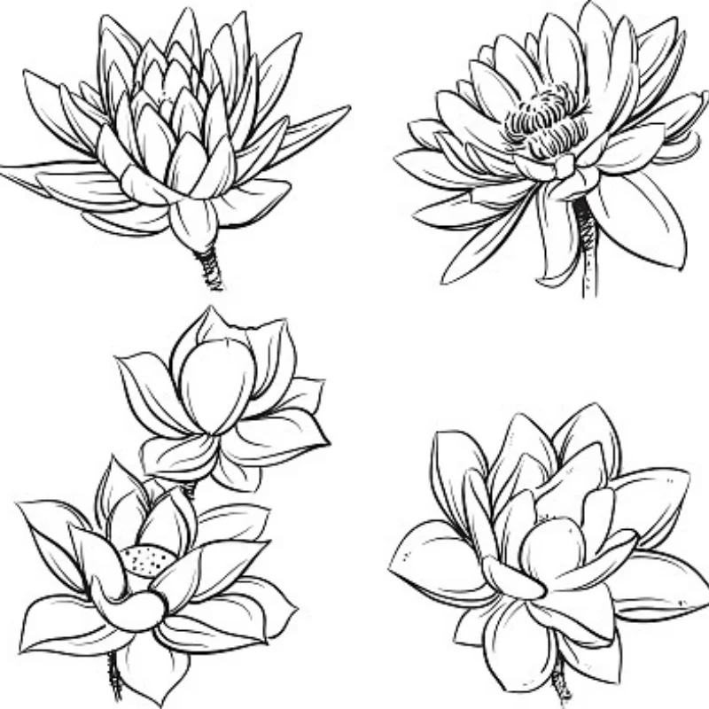 4pcs 65mm 1.3" Metal Beadlock Wheel Tire Set For 1/18 1/24 RC Crawler Car TRX4M SCX24 AX24 FCX24 Upgrade Parts
4pcs 65mm 1.3" Metal Beadlock Wheel Tire Set For 1/18 1/24 RC Crawler Car TRX4M SCX24 AX24 FCX24 Upgrade Parts