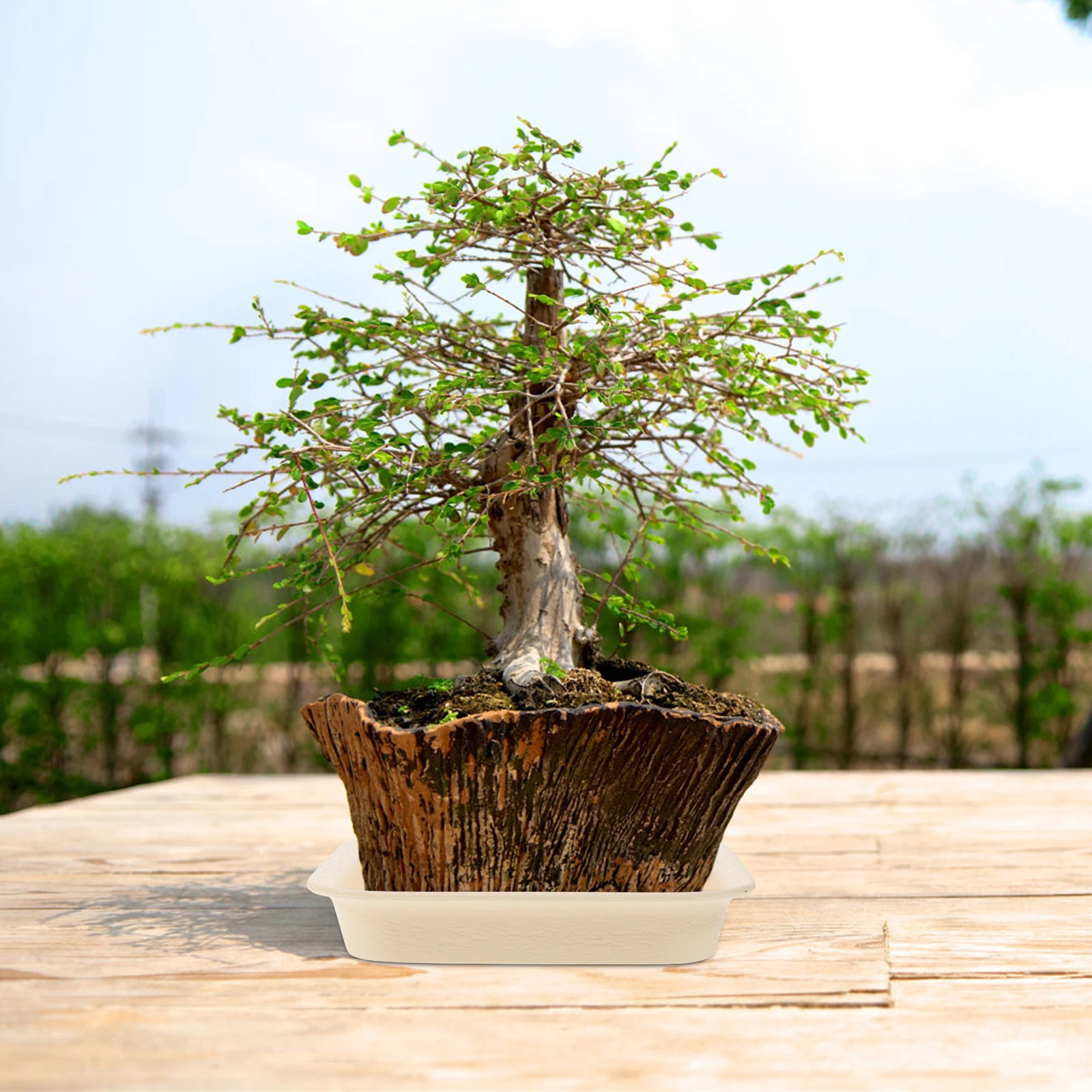 2pcs Square Plastic Flower Pot Tray Thickened Leakproof Garden Potted Base Household Support Plate Balcony Indoor
2pcs Square Plastic Flower Pot Tray Thickened Leakproof Garden Potted Base Household Support Plate Balcony Indoor