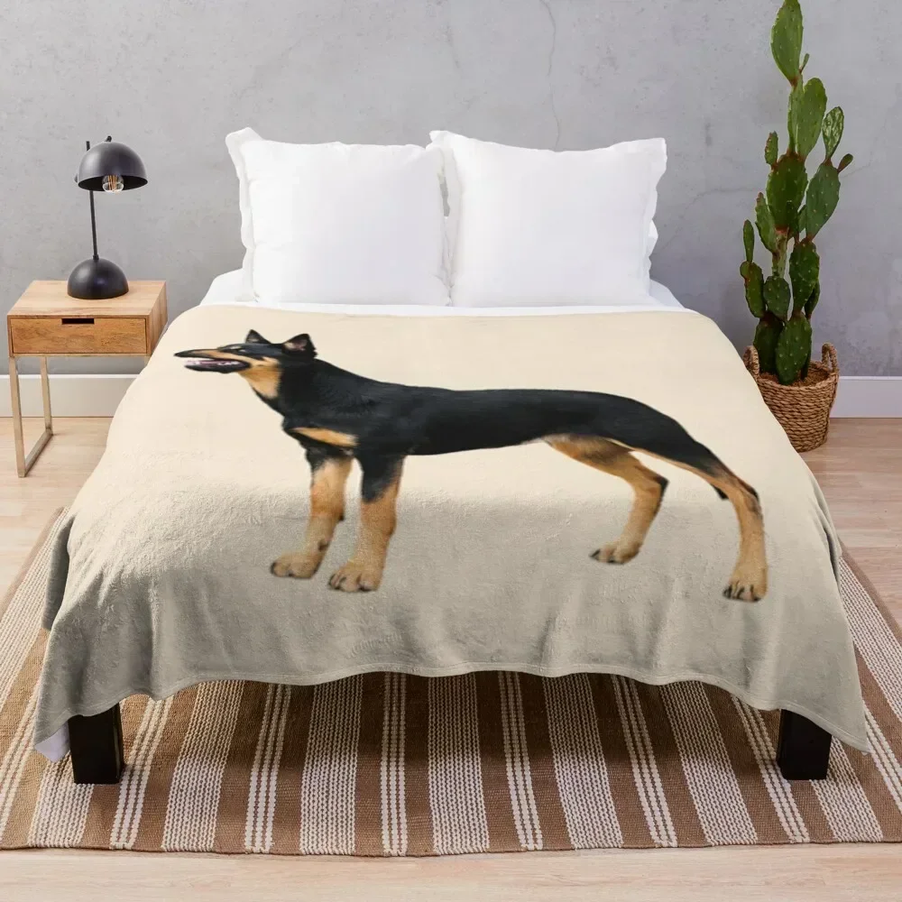 Kelpie Throw Blanket Warm Comfortable Blanket for Office Napping
Kelpie Throw Blanket Warm Comfortable Blanket for Office Napping
