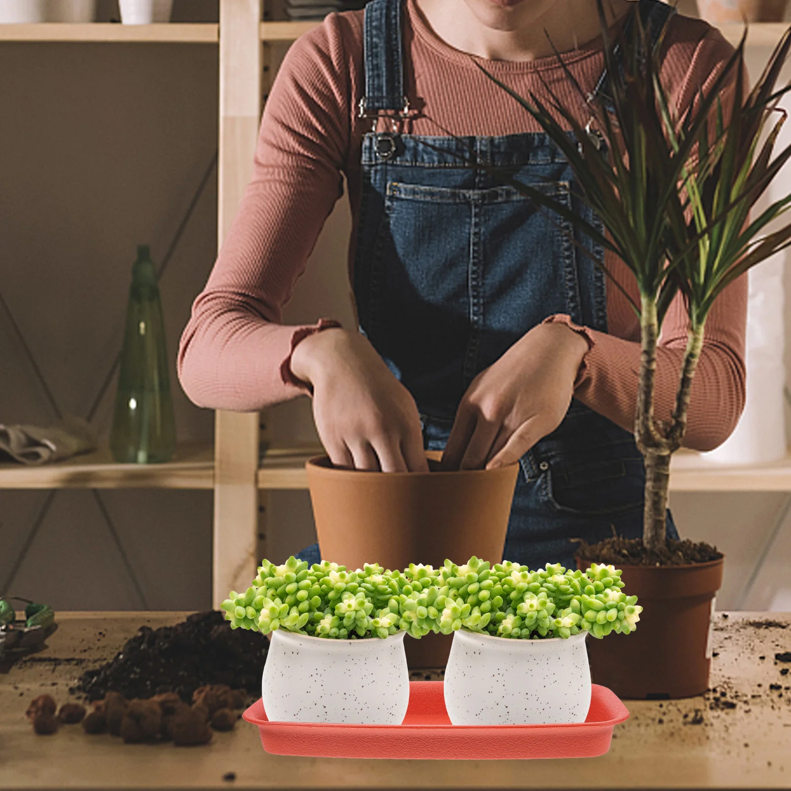 4 Pcs Plants Waterproof Tray Large Saucer Breathable Flower Pot Saucers Red Rectangle Long Drip
4 Pcs Plants Waterproof Tray Large Saucer Breathable Flower Pot Saucers Red Rectangle Long Drip
