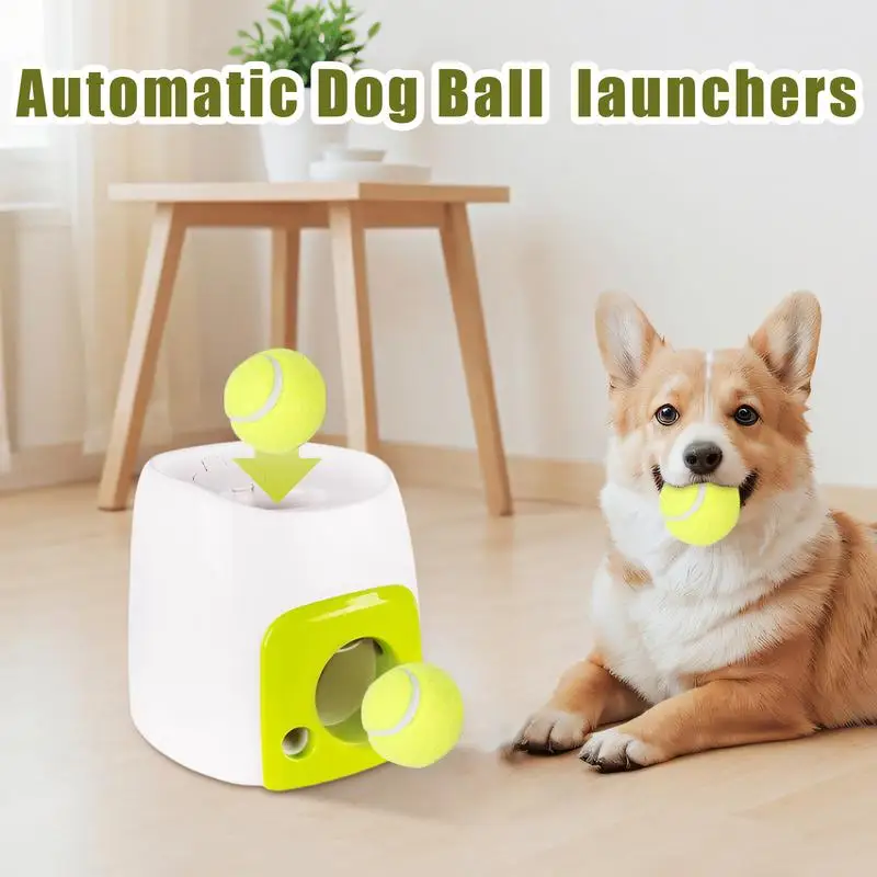 Dog Ball Launch Automatic Dog Automatic Ball Launch Interactive Toys Training Reward Machine For Jump Roll Fun Activity
Dog Ball Launch Automatic Dog Automatic Ball Launch Interactive Toys Training Reward Machine For Jump Roll Fun Activity