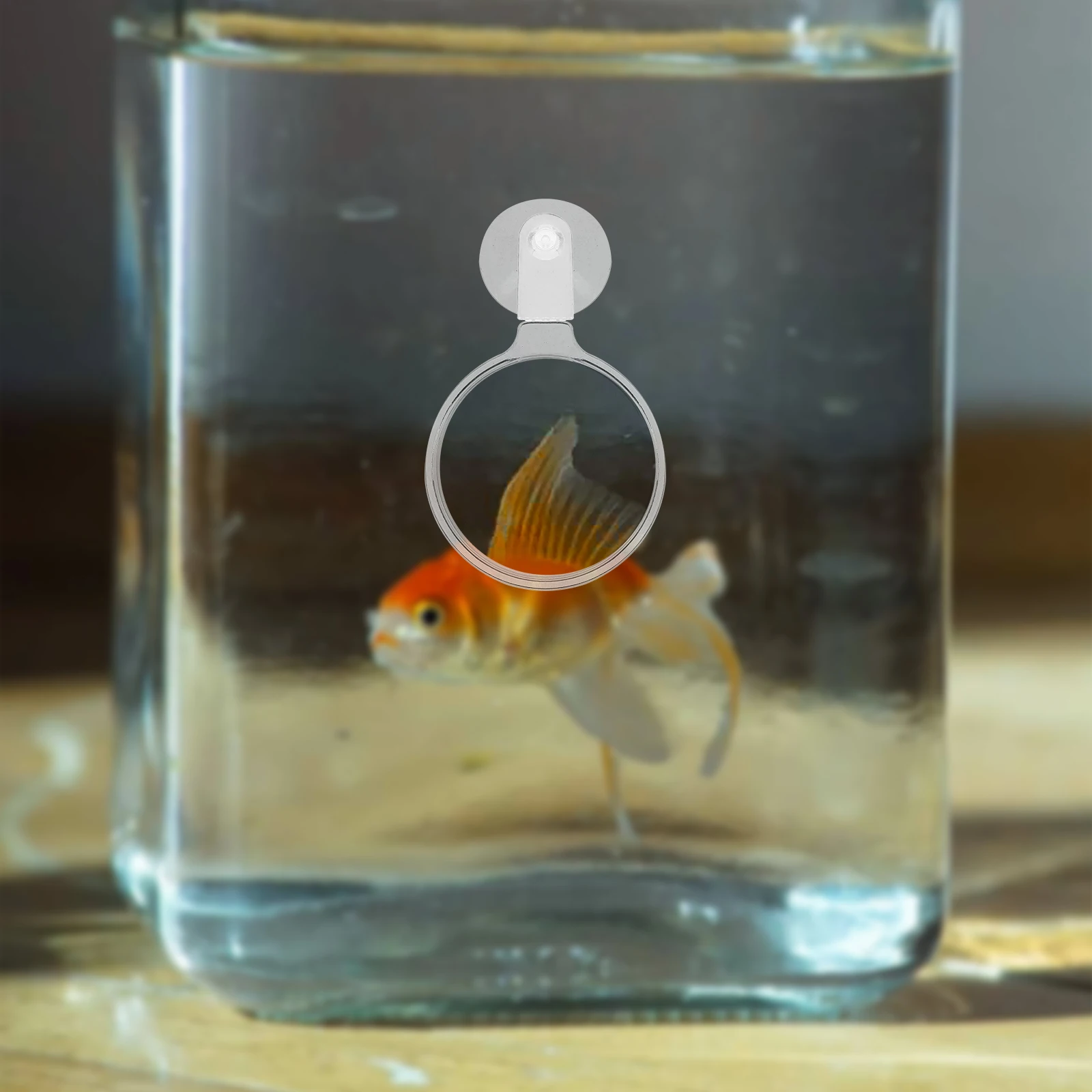Observation Magnifying Glass for Aquarium Tank Strong Suction Cup Acrylic Fish Betta Plants Small Animals Spider Ants Viewer
Observation Magnifying Glass for Aquarium Tank Strong Suction Cup Acrylic Fish Betta Plants Small Animals Spider Ants Viewer