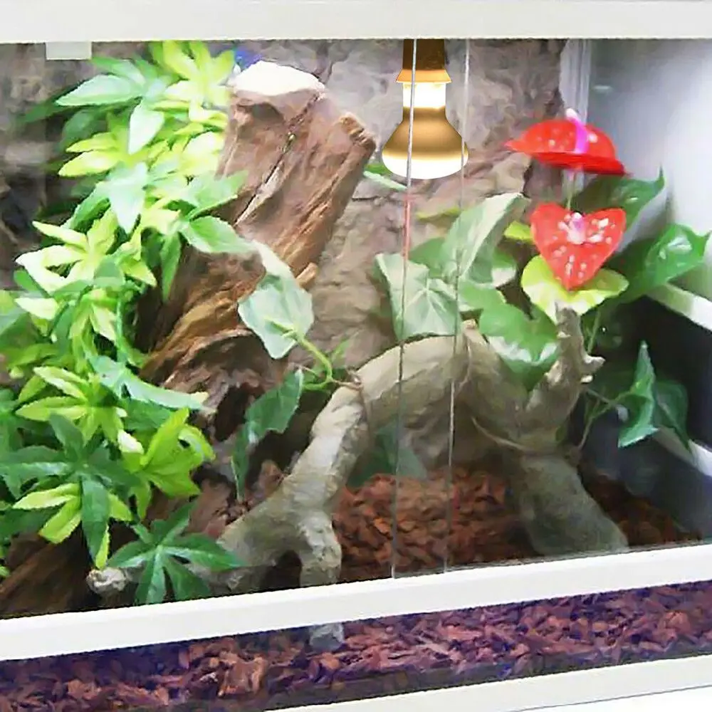 Turtle Temperature Controller Heater UVA Light Reptile Halogen Bulb Basking Light
Turtle Temperature Controller Heater UVA Light Reptile Halogen Bulb Basking Light