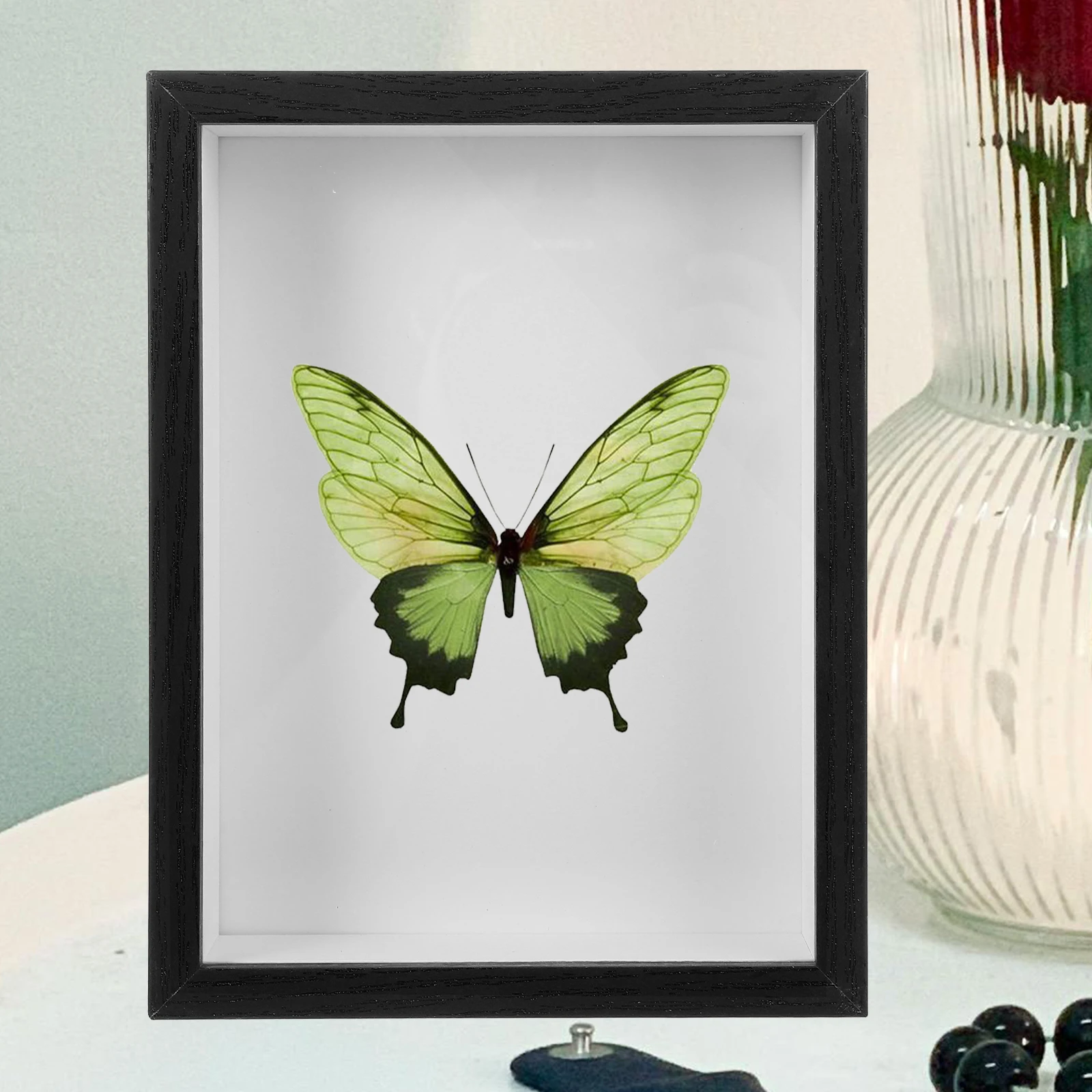 Butterfly Specimens Photo Frame Cd Display Medal Case Box Natural Wood Bugs Shadow Boxes Dried Flower Storage Craft Home Decor
Butterfly Specimens Photo Frame Cd Display Medal Case Box Natural Wood Bugs Shadow Boxes Dried Flower Storage Craft Home Decor