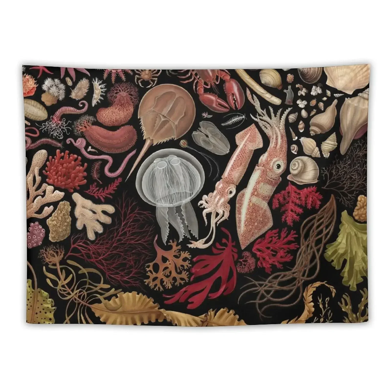 Intertidal Life of the North Atlantic Tapestry Outdoor Decoration Bathroom Decor Tapestry
Intertidal Life of the North Atlantic Tapestry Outdoor Decoration Bathroom Decor Tapestry