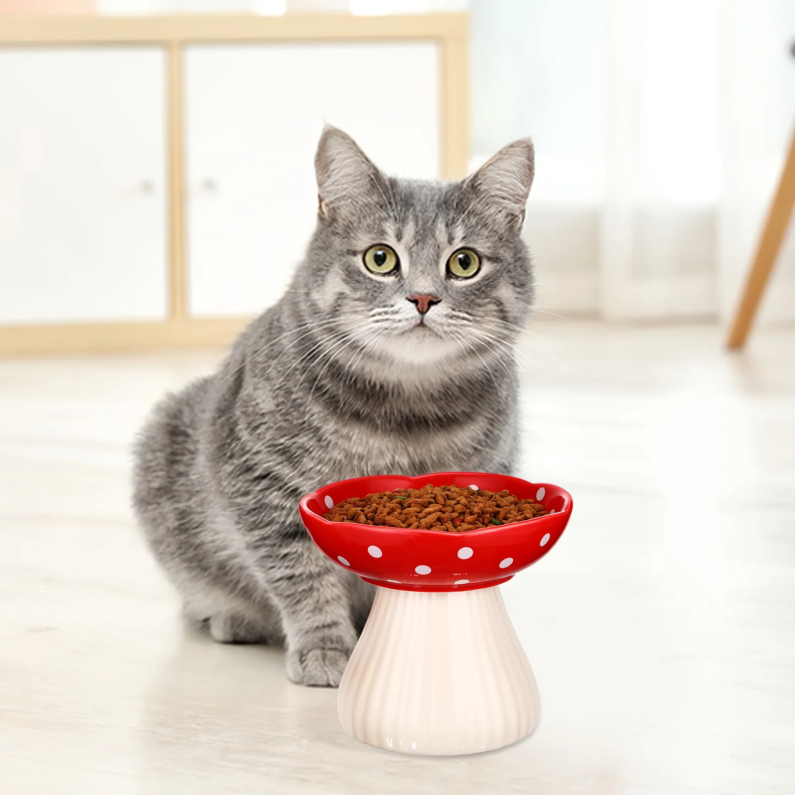 Raised Ceramic Bowl Wide Shallow Elevated Pet Feeder Indoor Feeding Supplies Raised Cat Bowl Dog Water Bowl,
Raised Ceramic Bowl Wide Shallow Elevated Pet Feeder Indoor Feeding Supplies Raised Cat Bowl Dog Water Bowl,