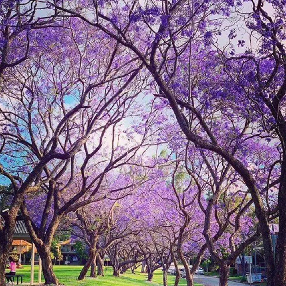 9 colors T8501-T8509 P800 Cartridge Auto Reset chip for Epson SureColor P800 SC-P800 permanent chip T8501 ink tank chip
9 colors T8501-T8509 P800 Cartridge Auto Reset chip for Epson SureColor P800 SC-P800 permanent chip T8501 ink tank chip