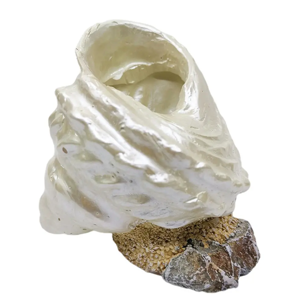 1pc Simulation Pearl Shell Resin Conch Decor For Home Garden Balcony Desktop Micro Landscape Plant Pot Marine Ornament
1pc Simulation Pearl Shell Resin Conch Decor For Home Garden Balcony Desktop Micro Landscape Plant Pot Marine Ornament