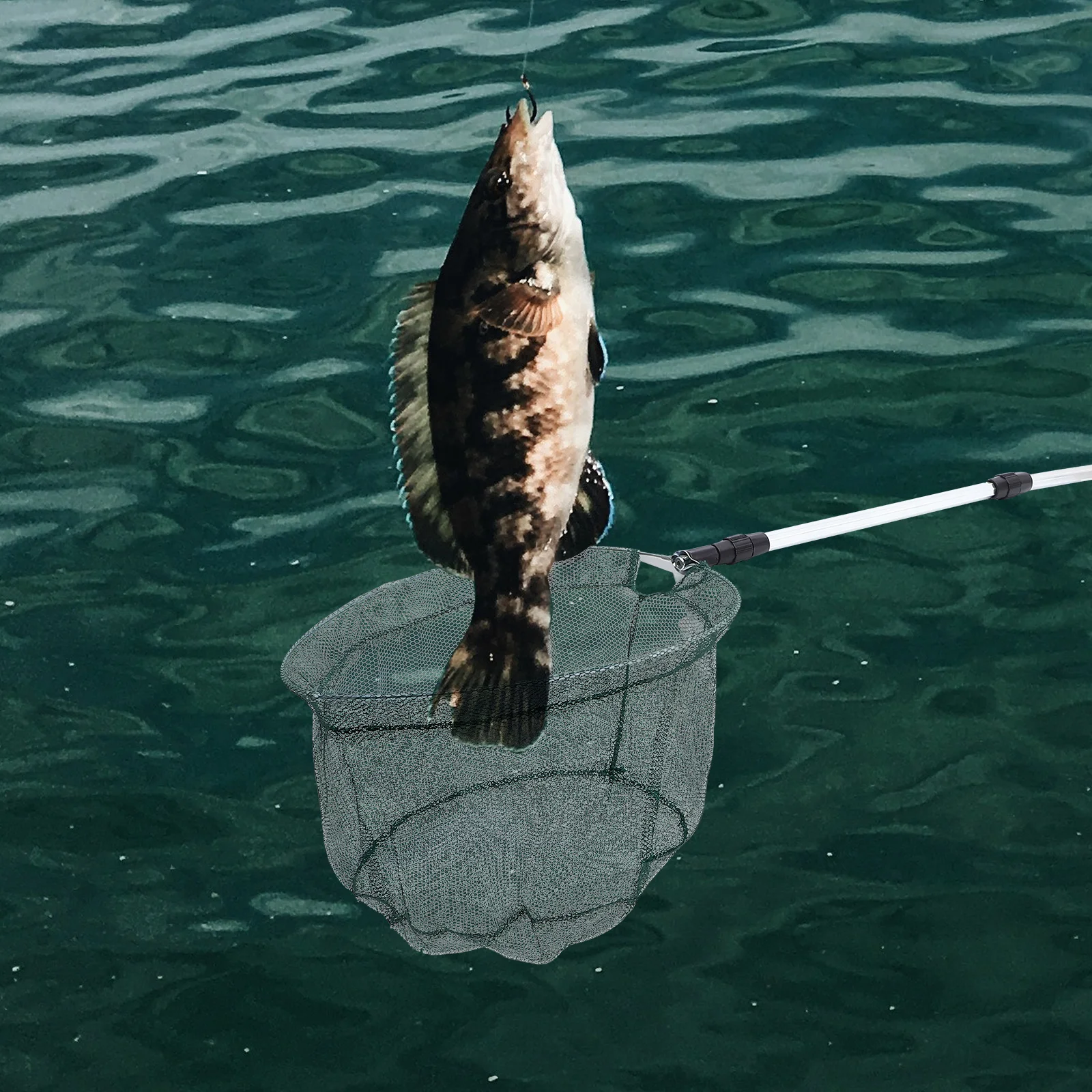 Telescopic Net Foldable Aquarium Mesh With 1.5M Aluminum Alloy Handle Non-Stick Coating Safe For Fish Tanks Ponds Lakes
Telescopic Net Foldable Aquarium Mesh With 1.5M Aluminum Alloy Handle Non-Stick Coating Safe For Fish Tanks Ponds Lakes