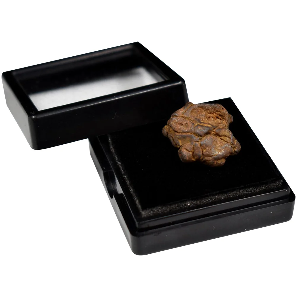 Olive Meteorite Table Adornment Teaching Children Toys Iron Specimen Lithosiderite
Olive Meteorite Table Adornment Teaching Children Toys Iron Specimen Lithosiderite