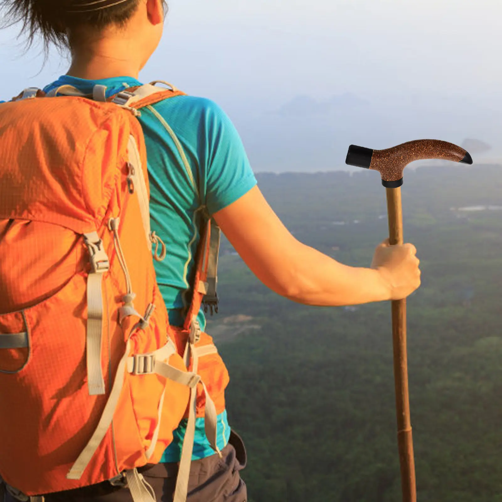 Профессиональная сменная рукоятка для треккинговых палок из дерева, легкая, портативная, для кемпинга, походов, катания на лыжах, активного отдыха на природе
Профессиональная сменная рукоятка для треккинговых палок из дерева, легкая, портативная, для кемпинга, походов, катания на лыжах, активного отдыха на природе