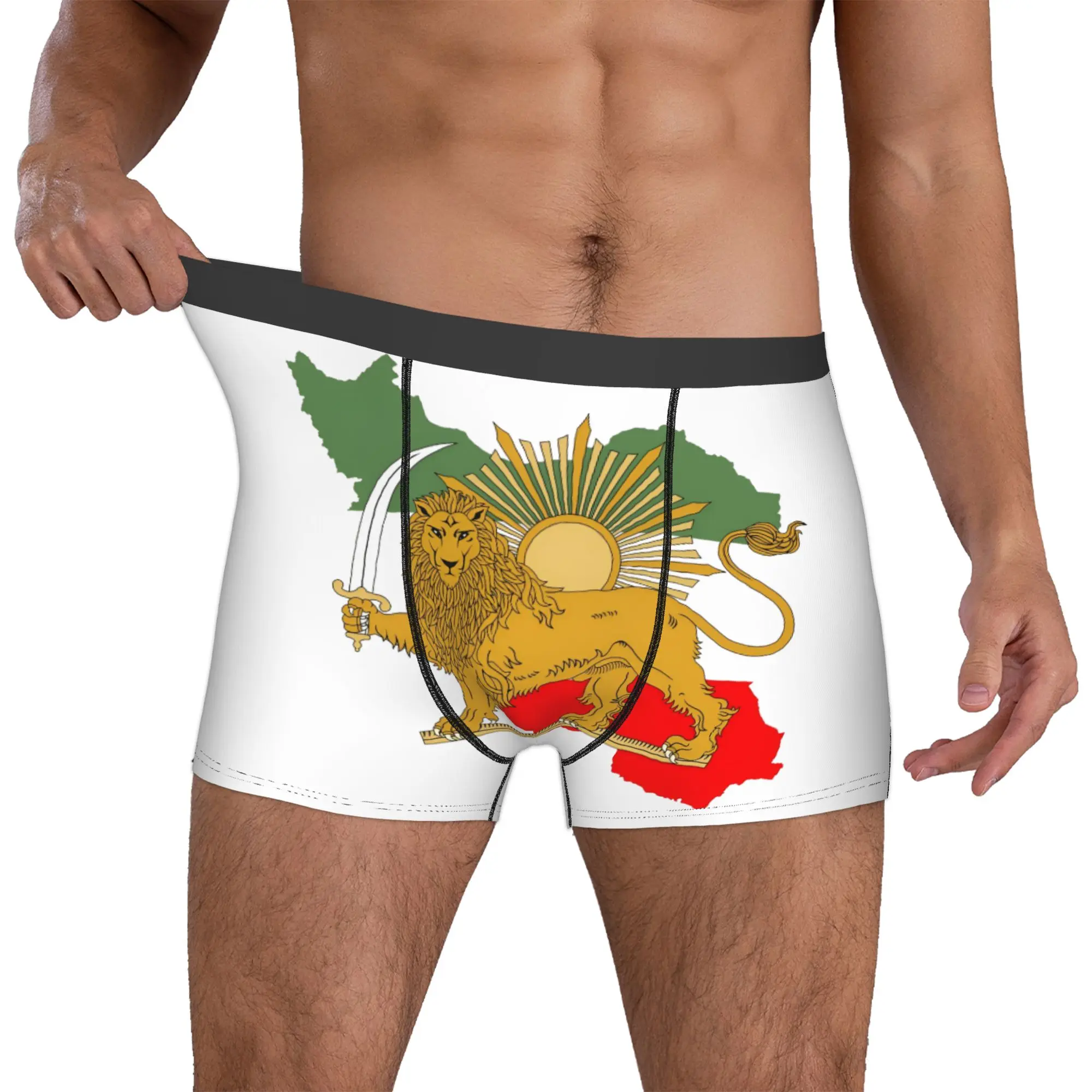 Customized Male Funny Iran Flag Persian Winged Lion Underwear Boxer Briefs Breathable Shorts Panties Underpants
Customized Male Funny Iran Flag Persian Winged Lion Underwear Boxer Briefs Breathable Shorts Panties Underpants