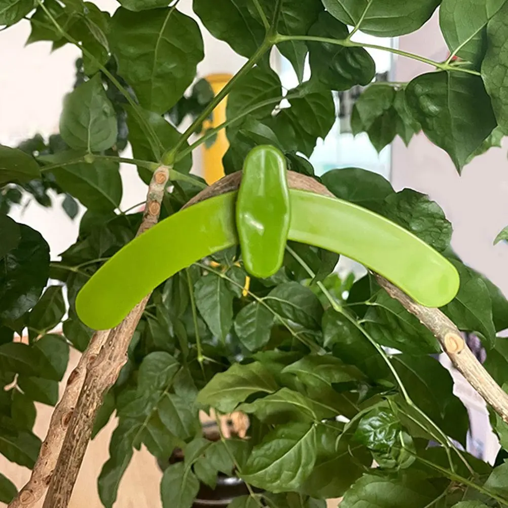 5 pcs Plant Branches Bender Reusable Clips Gardening Training Control Fixing Bending Clamp Indoor Plants Plastic Professional
5 pcs Plant Branches Bender Reusable Clips Gardening Training Control Fixing Bending Clamp Indoor Plants Plastic Professional
