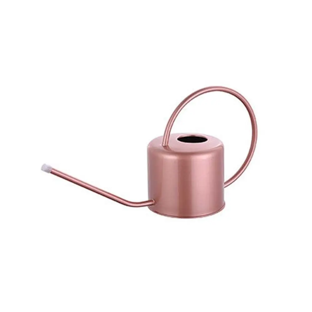 Креативная лейка из нержавеющей стали, нержавеющая, герметичная, удобная лейка, длинная насадка, 1,3 л, распылительный чайник для растений
Креативная лейка из нержавеющей стали, нержавеющая, герметичная, удобная лейка, длинная насадка, 1,3 л, распылительный чайник для растений