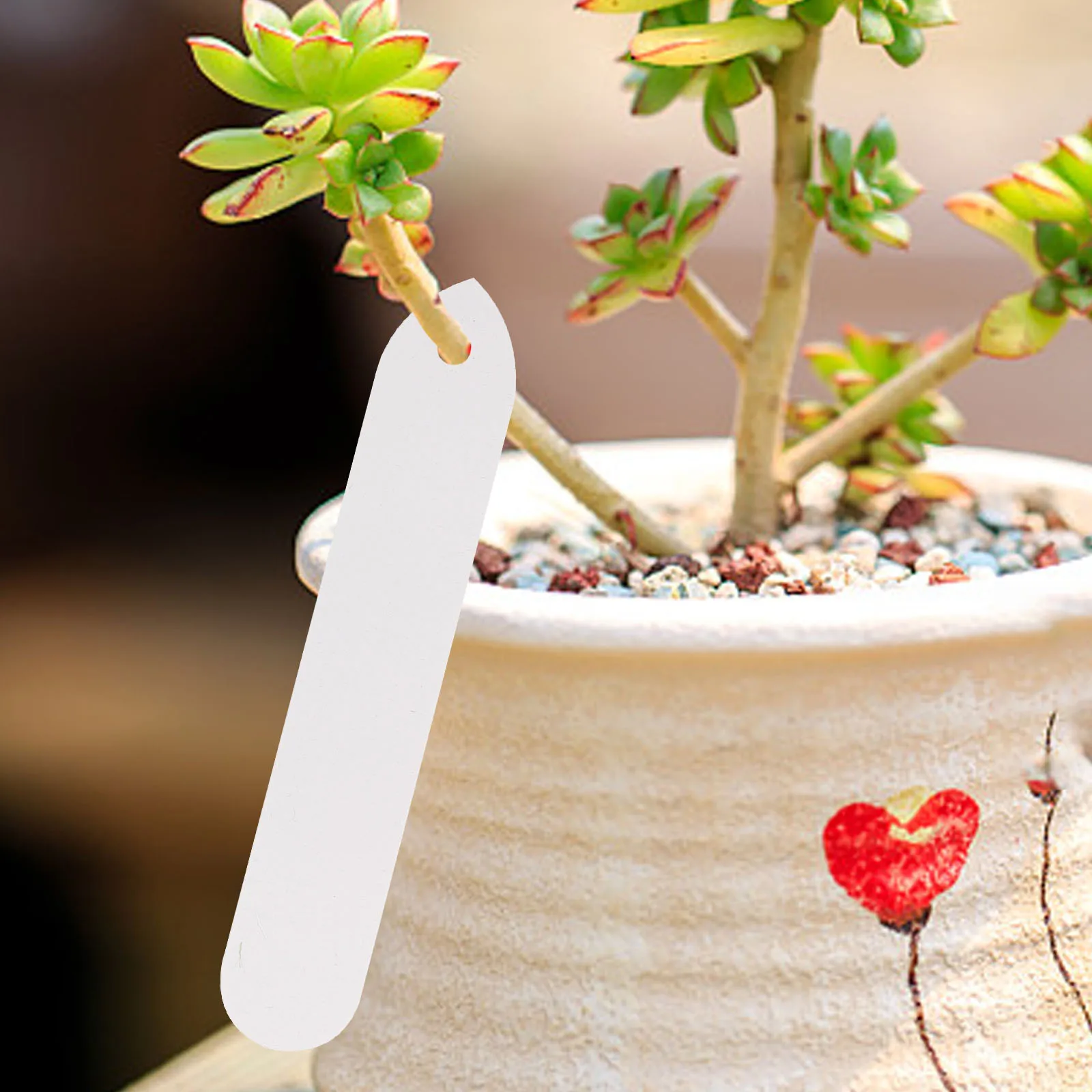 100pcs Waterproof Plant Labels Garden Markers Outdoor Plant Tags Plastic Garden Stakes Trunk Name Tags Durable
100pcs Waterproof Plant Labels Garden Markers Outdoor Plant Tags Plastic Garden Stakes Trunk Name Tags Durable