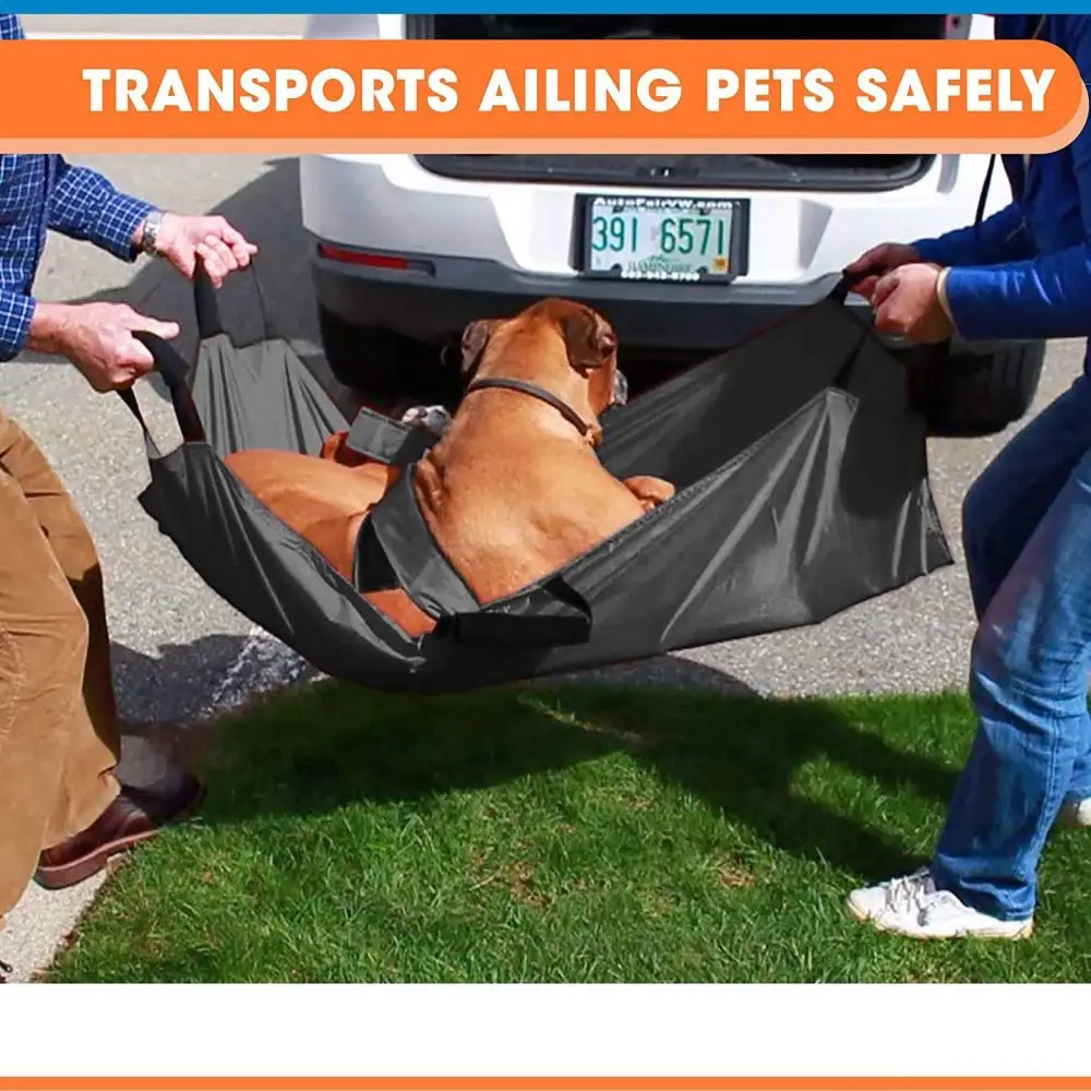 Waterproof Pet Transport Stretcher Foldable 6 Handles Dog Carrier Stretcher Large Load Bearing Wear-resistant Emergency Backpack
Waterproof Pet Transport Stretcher Foldable 6 Handles Dog Carrier Stretcher Large Load Bearing Wear-resistant Emergency Backpack