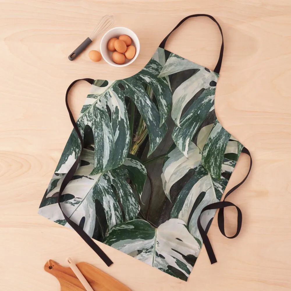 Variegated Monstera Albo Borsigiana Leaves Apron Kitchen Chef Kitchen Supplies Idea Goods Things For The Home Apron
Variegated Monstera Albo Borsigiana Leaves Apron Kitchen Chef Kitchen Supplies Idea Goods Things For The Home Apron