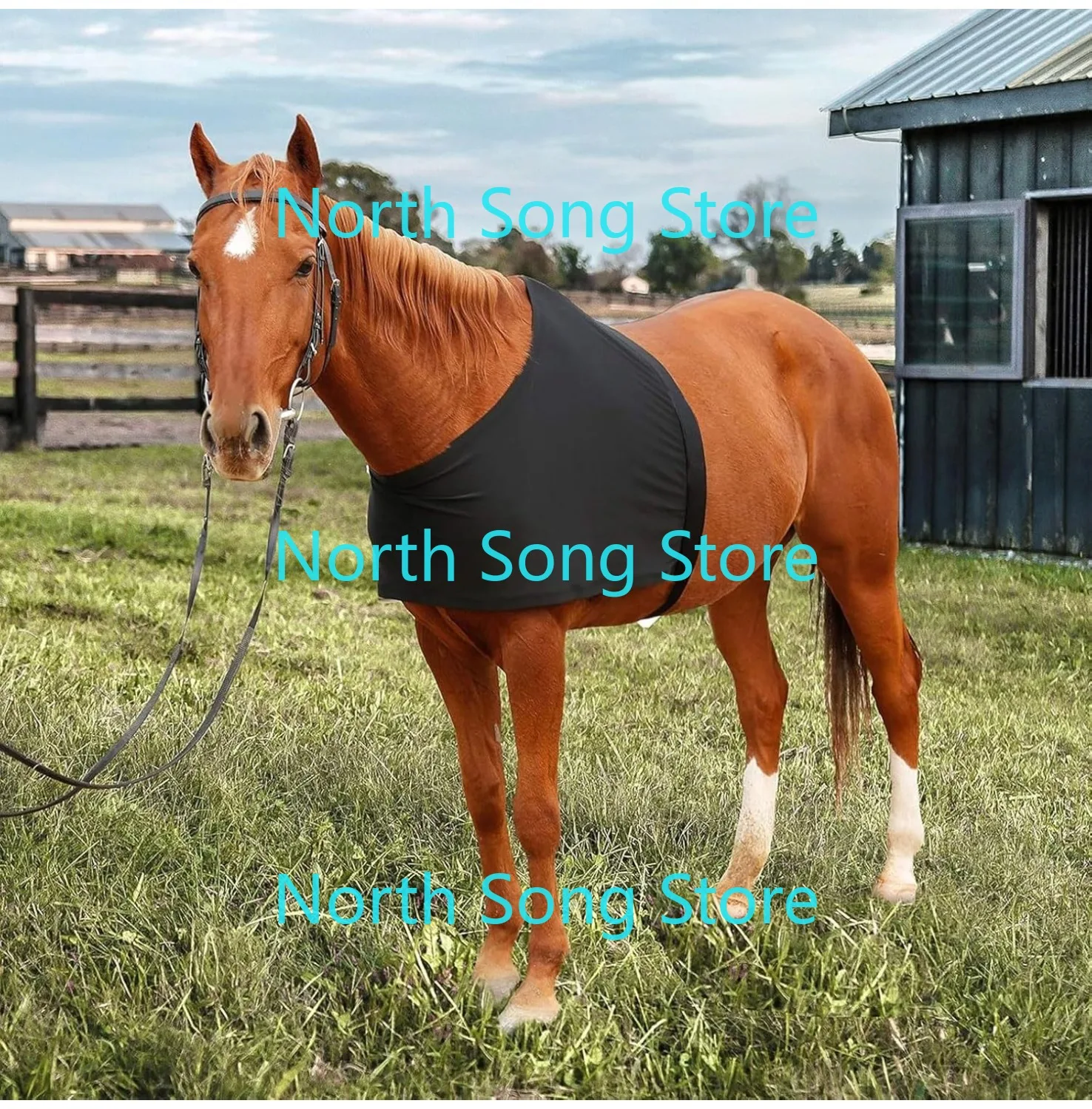 Horse Shoulder Guard, High Elastic Spandex Fabric Horse Vest - Anti-Rub Bib, Breathable Protective Chest Protector
Horse Shoulder Guard, High Elastic Spandex Fabric Horse Vest - Anti-Rub Bib, Breathable Protective Chest Protector