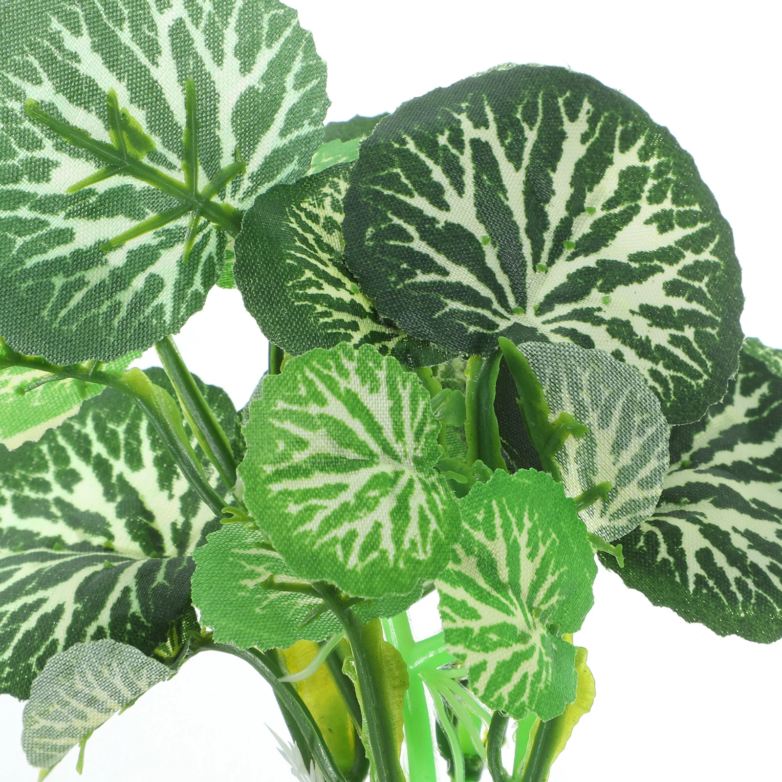 Fish Tank Artificial Plant Decoration Goldfish Hide Plastic Aquarium Plant for Fish Tank Supplies Aquarium Plants 
Fish Tank Artificial Plant Decoration Goldfish Hide Plastic Aquarium Plant for Fish Tank Supplies Aquarium Plants