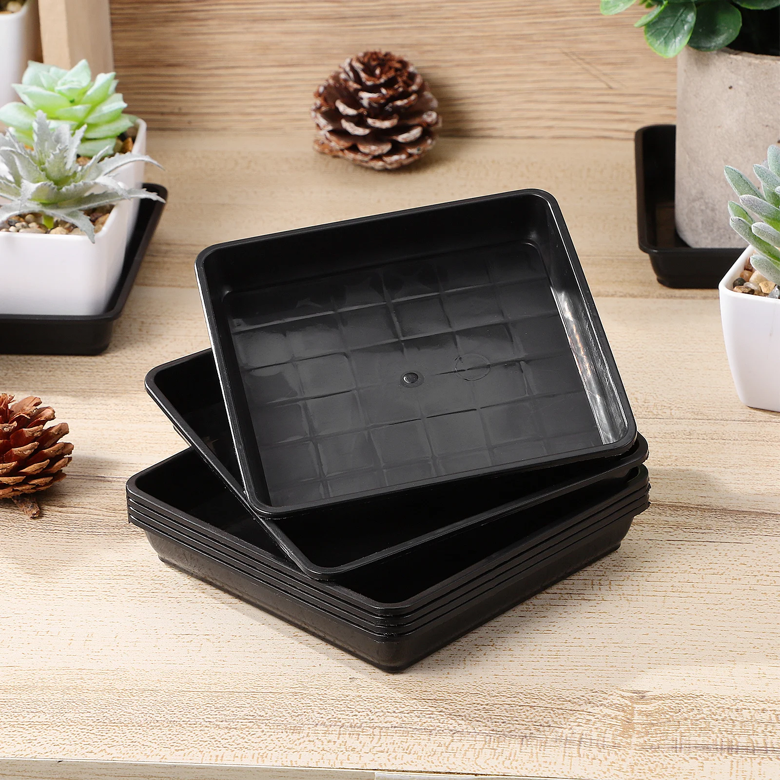 8Pcs Plastic Bonsai Tray Square Planter Saucer Heavy Duty Garden Flowerpot Base Leak Proof Floor Protector Lightweight Potted
8Pcs Plastic Bonsai Tray Square Planter Saucer Heavy Duty Garden Flowerpot Base Leak Proof Floor Protector Lightweight Potted