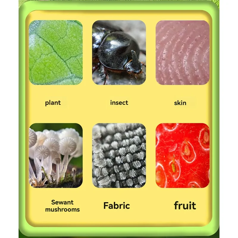Hand Held Microscope HD Magnification Magnifier Two Lens Multi-Functional Magnifying Glass Support Photo Video
Hand Held Microscope HD Magnification Magnifier Two Lens Multi-Functional Magnifying Glass Support Photo Video