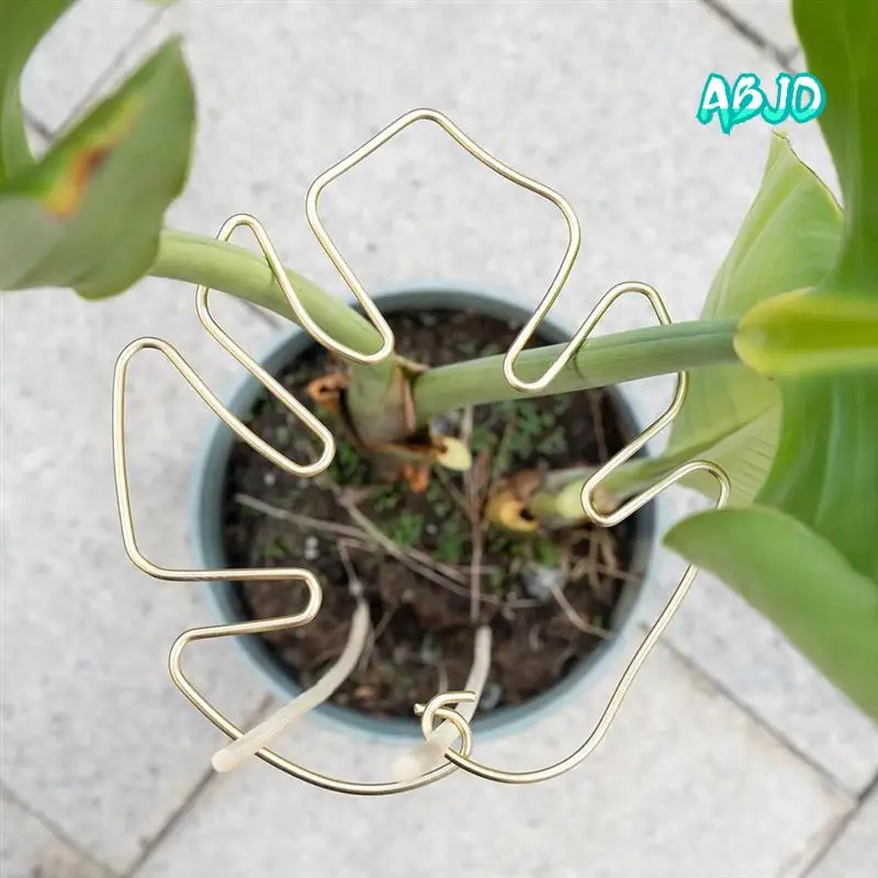 ABJO-Monstera Поддержка стебля 5 шт. Система поддержки растений для растений Monstera и черепахи-качественные зажимы для листьев
ABJO-Monstera Поддержка стебля 5 шт. Система поддержки растений для растений Monstera и черепахи-качественные зажимы для листьев