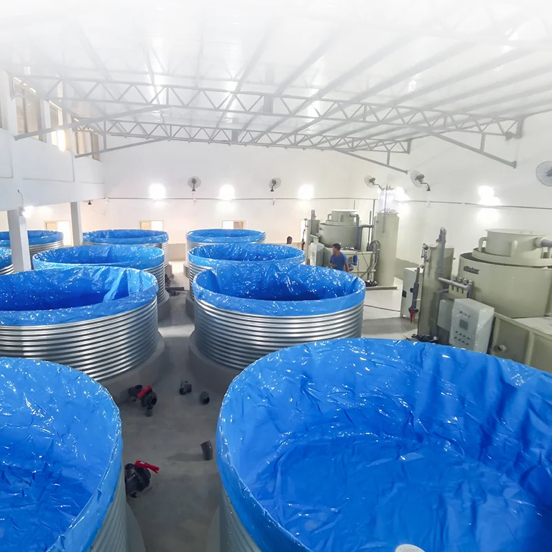 EWater Salt Water and Fresh Water Aquarium Fish Tank or Fish Pond for Above Ground Fish Farming System
EWater Salt Water and Fresh Water Aquarium Fish Tank or Fish Pond for Above Ground Fish Farming System