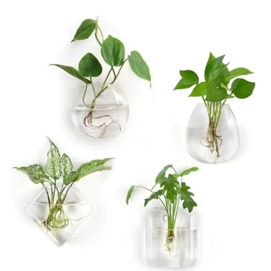 Wall Hanging Planter Propagation Station Glass Flower Vase for Hydroponics Plants
Wall Hanging Planter Propagation Station Glass Flower Vase for Hydroponics Plants