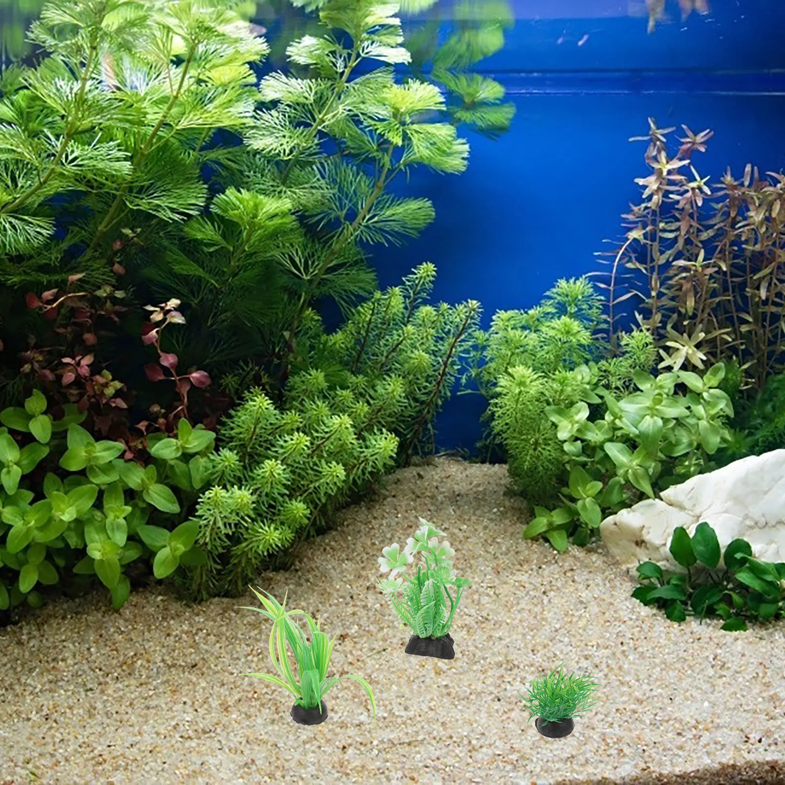 7pcs Vivid Plastic Aquarium Plants for Betta Fish Tank Decorations Safe Durable Realistic Longtime Use Household Pet Supplies
7pcs Vivid Plastic Aquarium Plants for Betta Fish Tank Decorations Safe Durable Realistic Longtime Use Household Pet Supplies