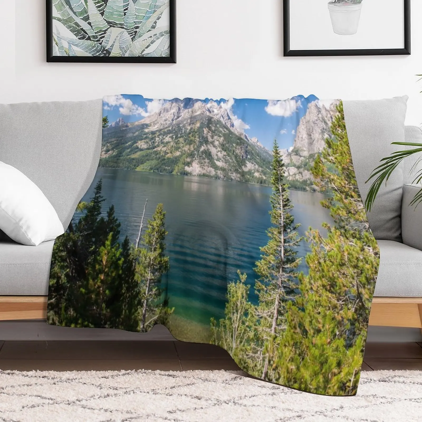 Jenny Lake, Grand Teton National Park Wyoming Throw Blanket Flannel bed plaid Cute Blankets
Jenny Lake, Grand Teton National Park Wyoming Throw Blanket Flannel bed plaid Cute Blankets