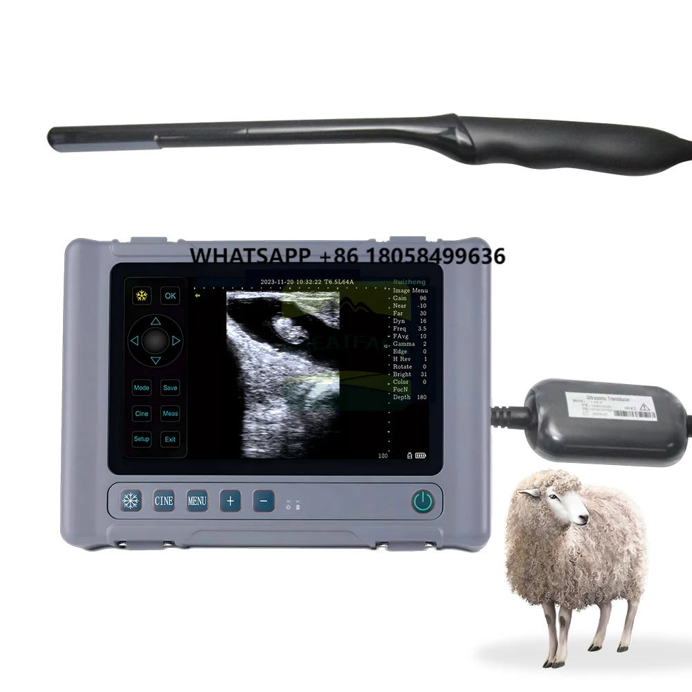 Hot Sell GREAT FARM T1 Sheep and Goat Scanner Veterinary Monitoring Device for Sonar Scanning Machine
Hot Sell GREAT FARM T1 Sheep and Goat Scanner Veterinary Monitoring Device for Sonar Scanning Machine