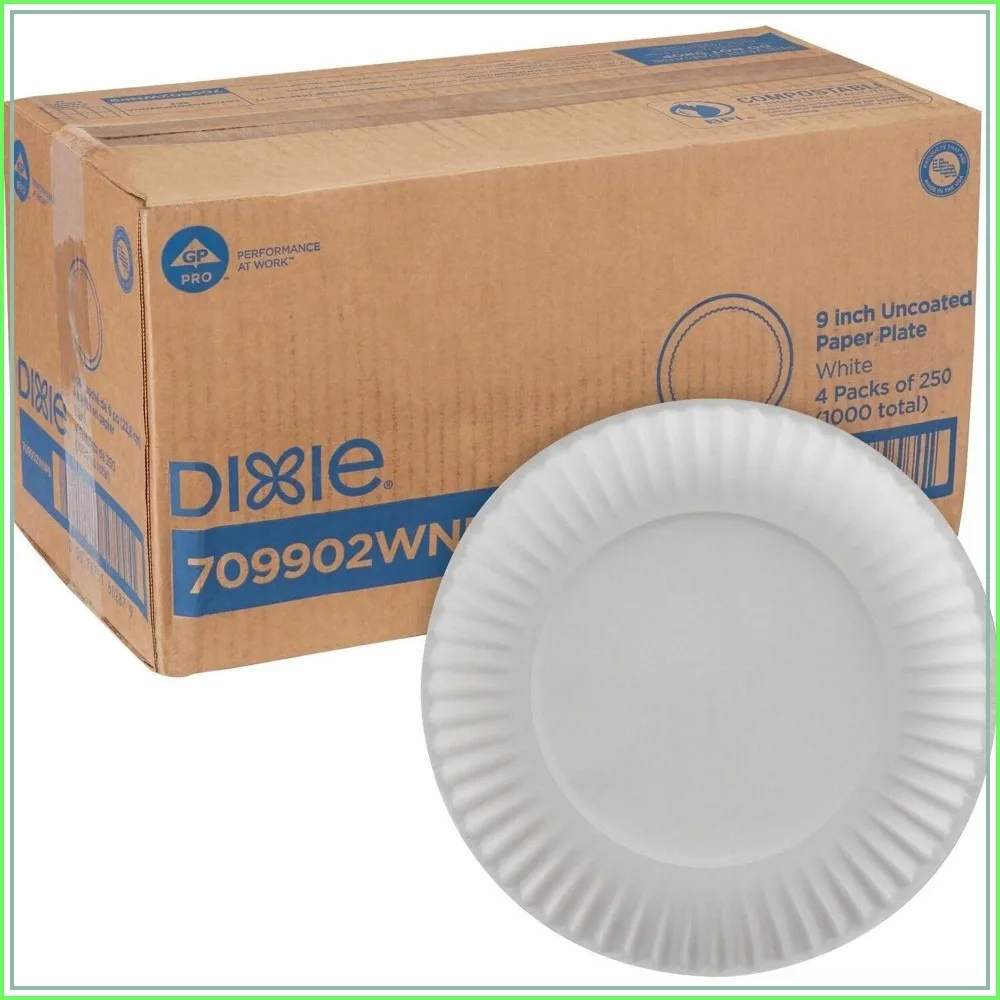 9 Inch Lightweight Paper Plates, 1000 Count for Light Meals, Uncoated & Recyclable
9 Inch Lightweight Paper Plates, 1000 Count for Light Meals, Uncoated & Recyclable